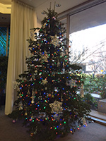 National Geographic tree