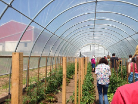 visitors in the hothouse